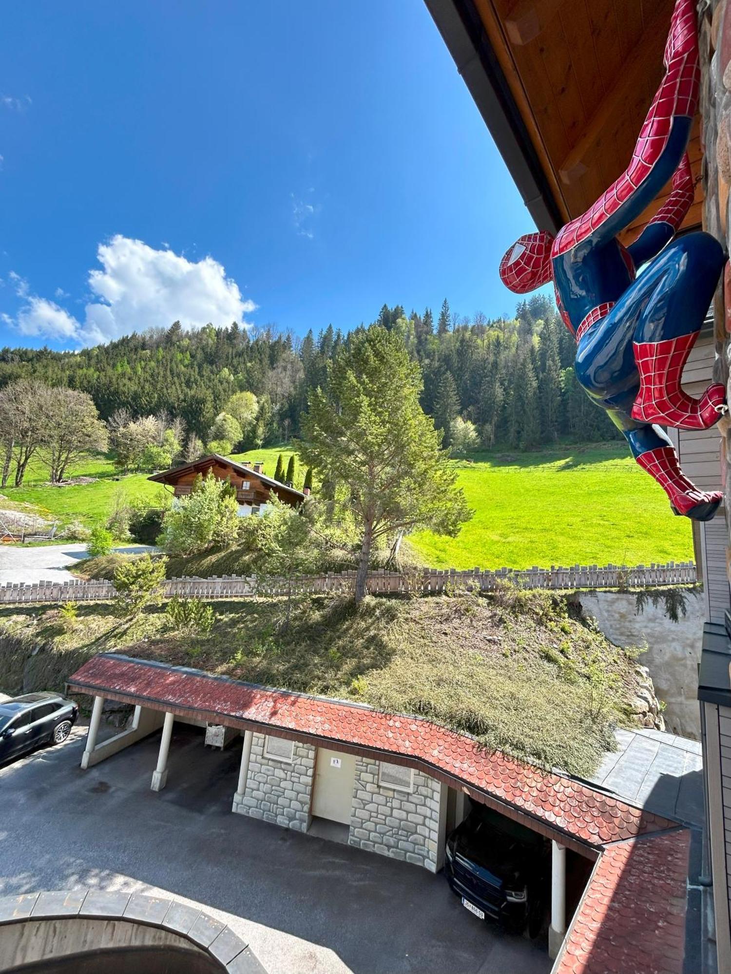 Weitenmoos Panorama Apartments Sankt Johann im Pongau Luaran gambar