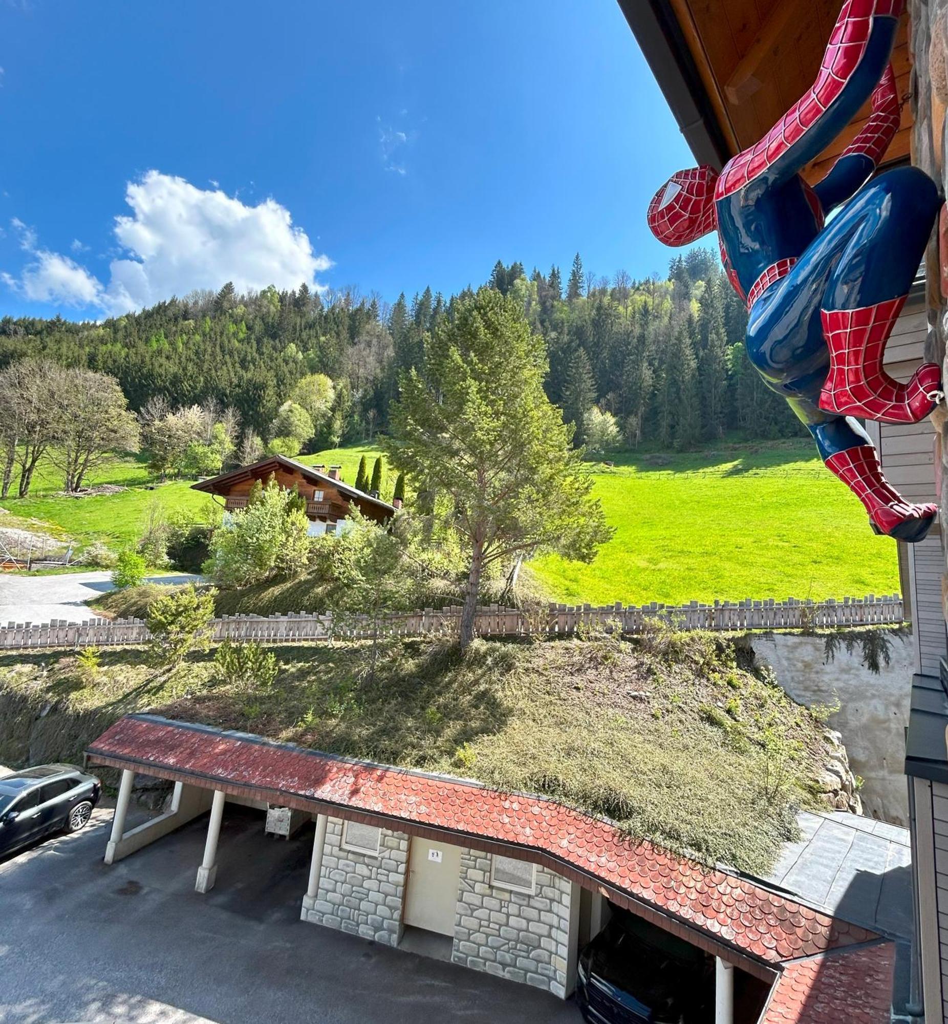 Weitenmoos Panorama Apartments Sankt Johann im Pongau Bilik gambar