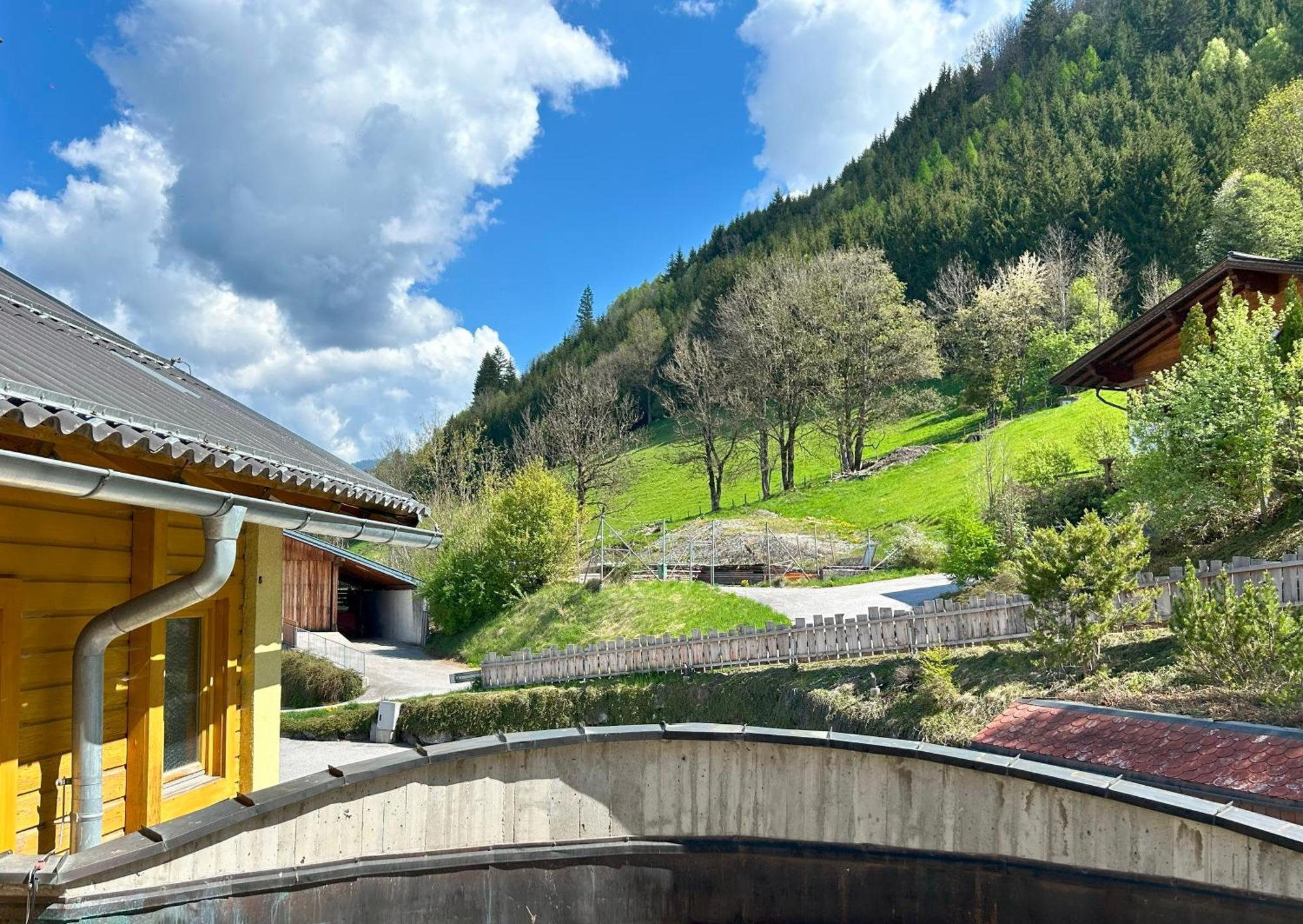 Weitenmoos Panorama Apartments Sankt Johann im Pongau Bilik gambar